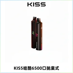 KIS5WAGOO哇酷6500口拋棄式 | 自由混搭雙口味 | 雙芯組合